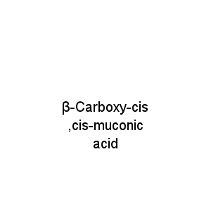 β-Carboxy-cis,cis-muconic acid